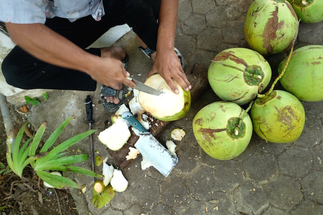 fresh coconuts