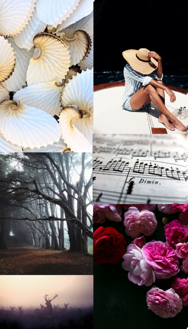 moodboard-contrasts