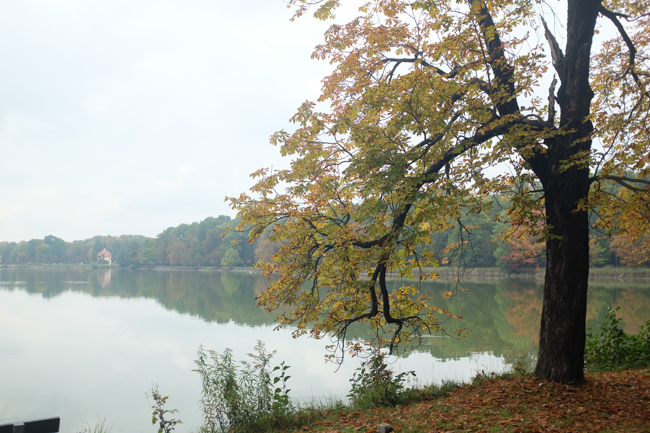 Schlossteich Moritzburg