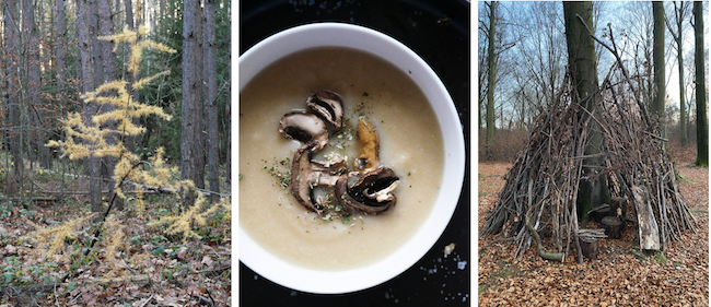 cauliflower and celery root soup with roasted mushrooms